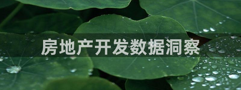 永利工业制带