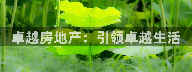永利置业有限公司