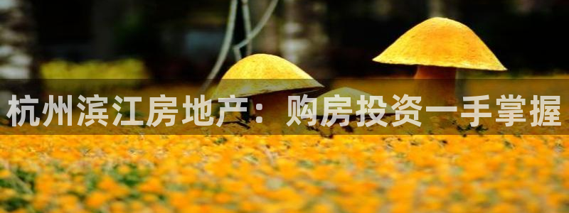 永利制衣有限公司