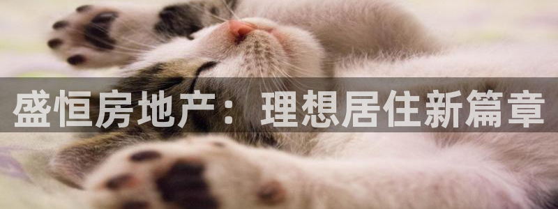 永利汇客房价格