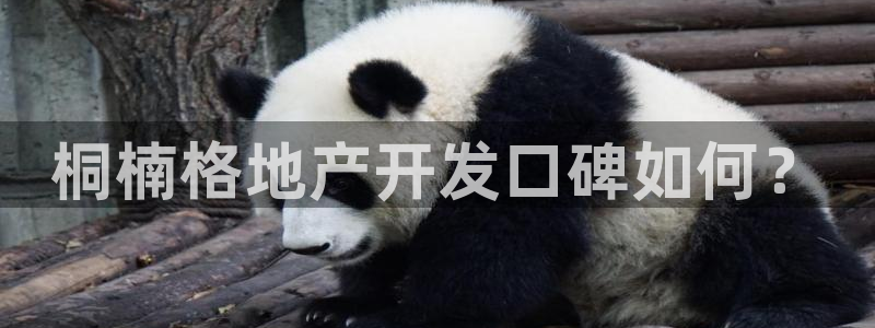 永利股份最新