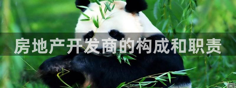 永利网是受国家法律保护吗