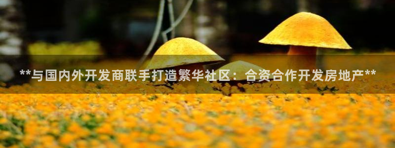 永利背一分