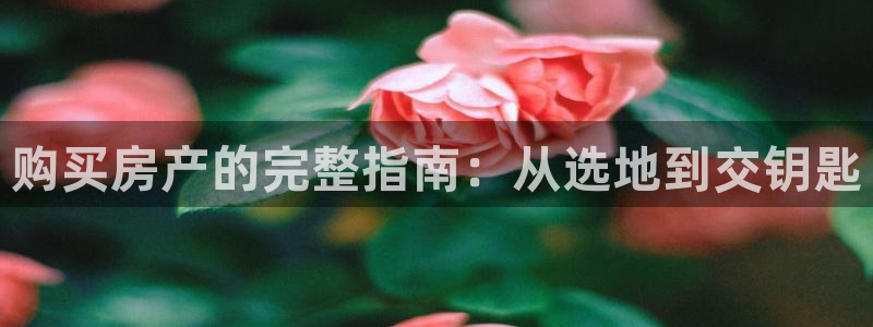永利置业有限公司