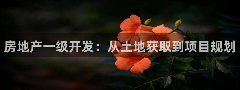 永利网输了几十万