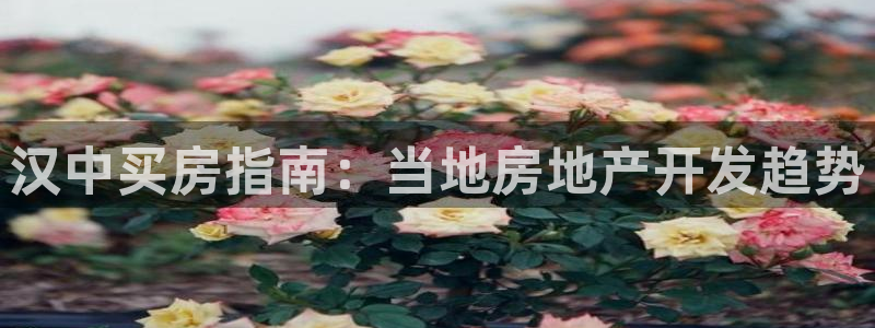 永利网是干什么的,能挣到钱吗安全吗