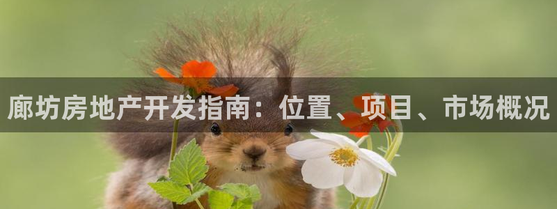 佛山永利工业皮带有限公司