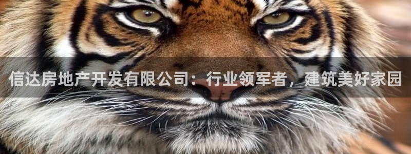永利餐饮管理有限公司