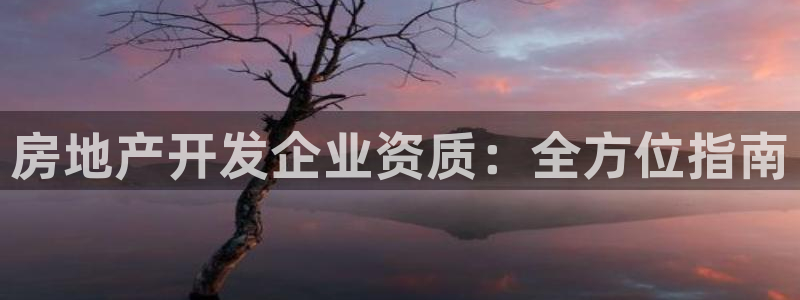 永利股份是做什么的
