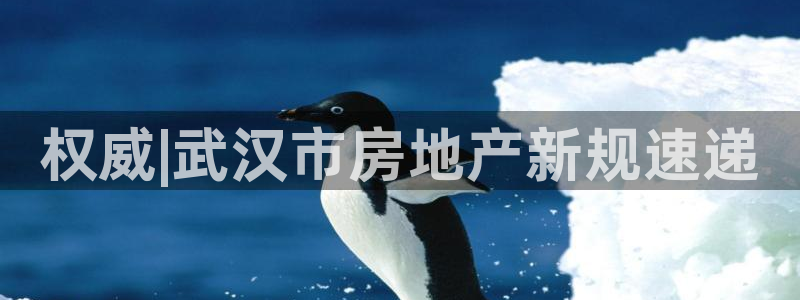 永利输送带