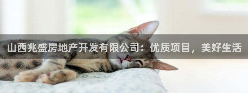 永利网怎么了打不开