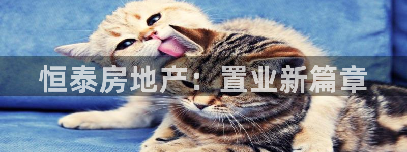 永利娱城