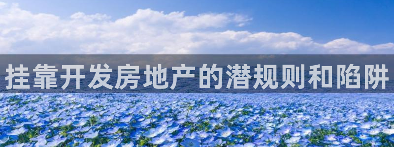 永利黄府黄立青信鸽图片