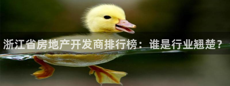 永利官网总站入口网址