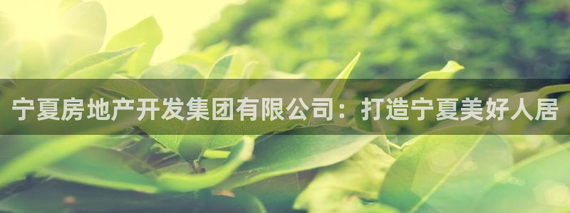 永利皮带报价