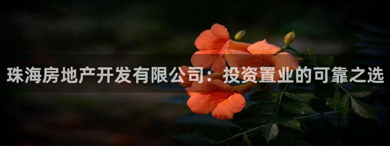 永利批发市场在哪里