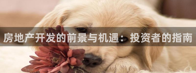 永利皇府黄立青个人资料