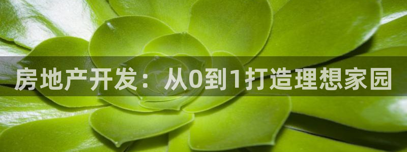 永利股份有限公司介绍