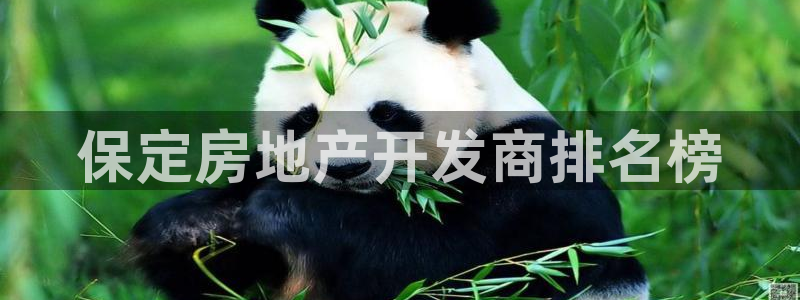 永利汇团购