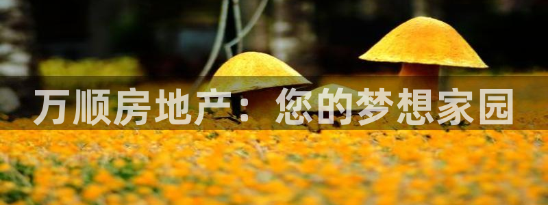永利汇养生会所