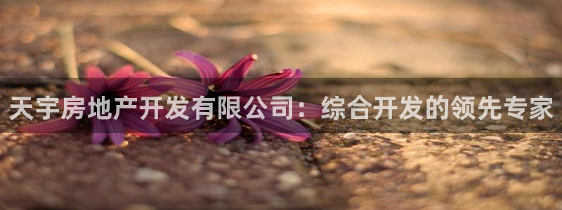 永利集团304am官方入口版