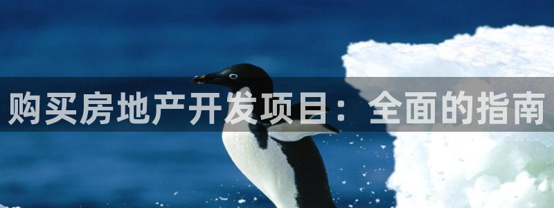 永利网是受国家法律保护吗