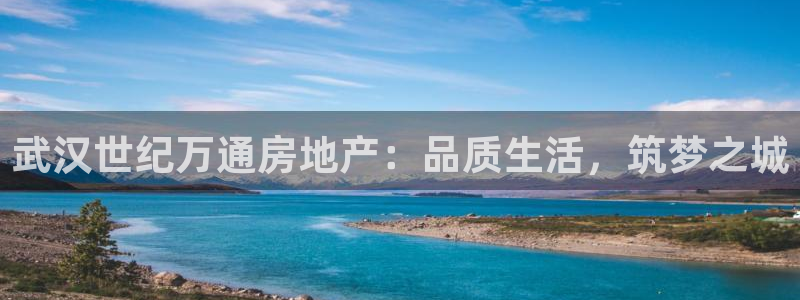 永利 股票