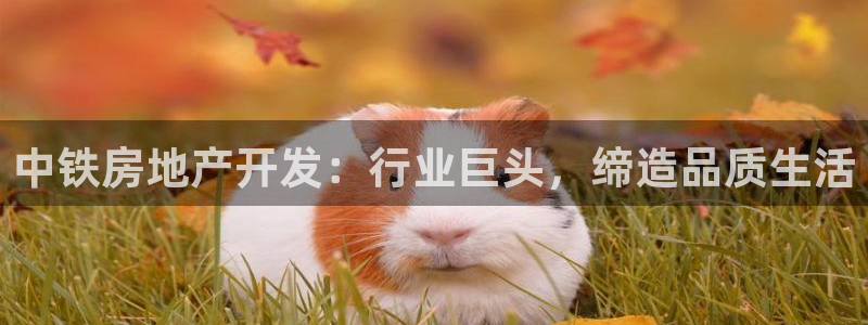 网络永利ly79,cn