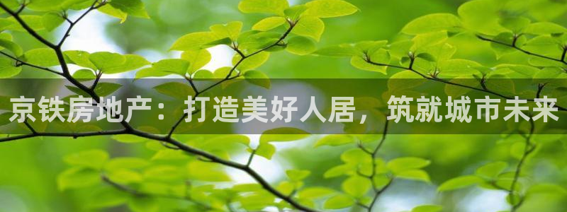 永利批发市场在哪里