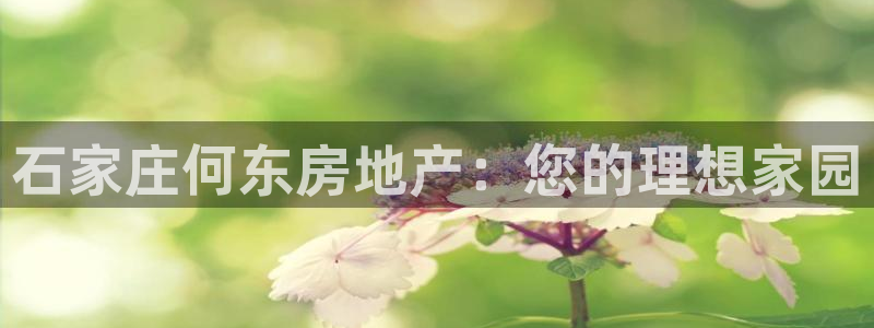 永利游乐城网址查询