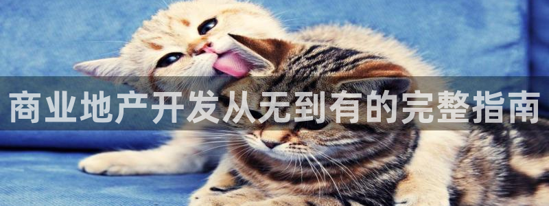 永利混凝土有限公司