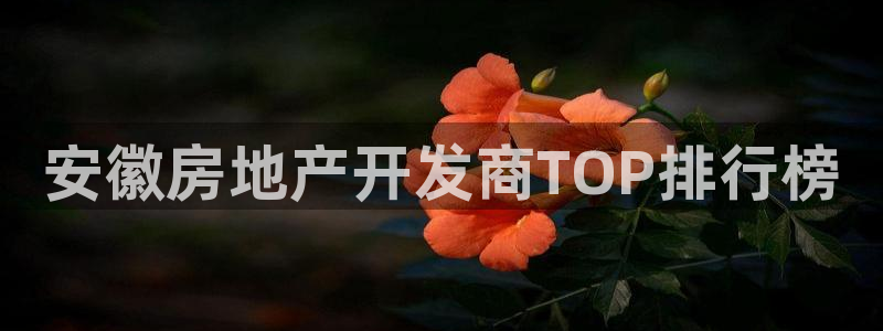 永利建材有限公司