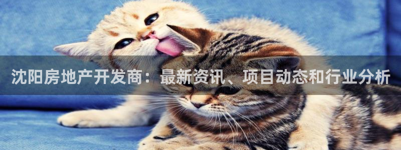 永利来织带