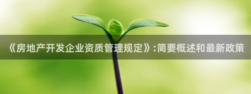 永利房地产有限公司董事长是谁