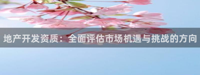 永利贴吧