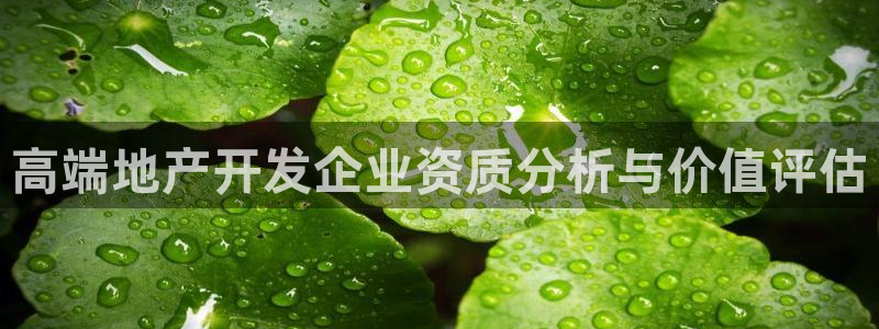 永利铔厂总技师长
