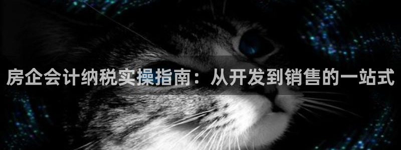永利官网是什么