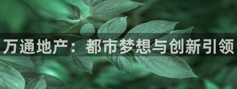 永利带业集团2020年的业绩状况
