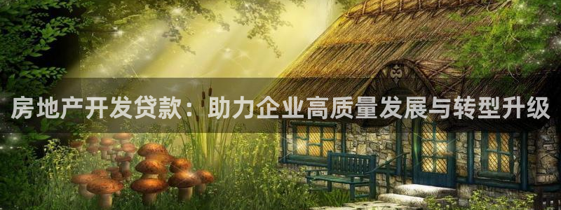 滨州永利篮球俱乐部老板