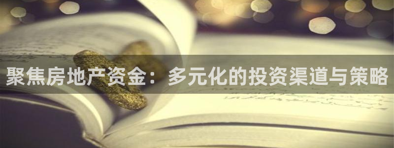 永利公司是做什么的